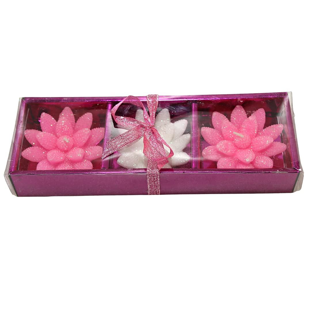 pujaparv Multicolor Floating Flower Candles, Set of 6 (Pink)