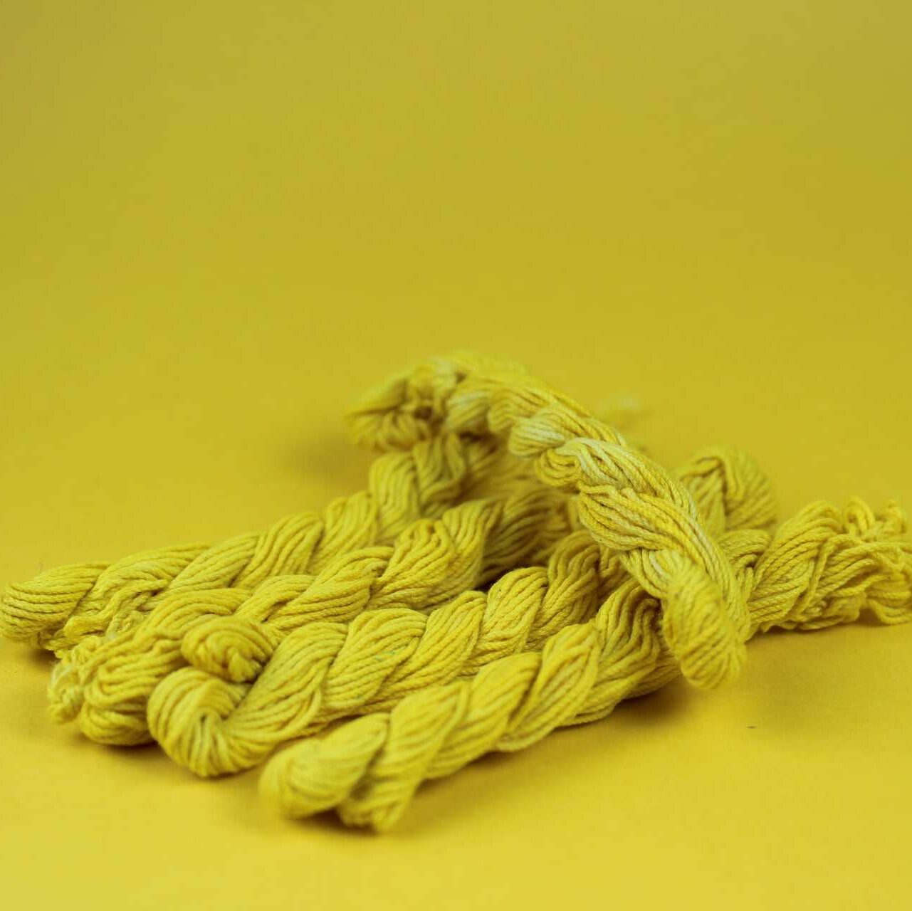 Yellow Janew