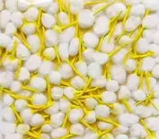 pujaparv Round Cotton Wicks for Diya, GOL Batti for Puja with Chandan Tip Pack of 2100 Pieces