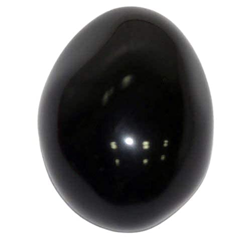 pujaparv Natural Black Stone Shaligram Shila for Pooja for Divine Blessings