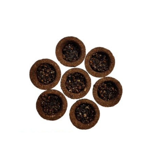 Google Cup Dhoop – Natural Resin Dhoop Cups for Puja & Fragrance