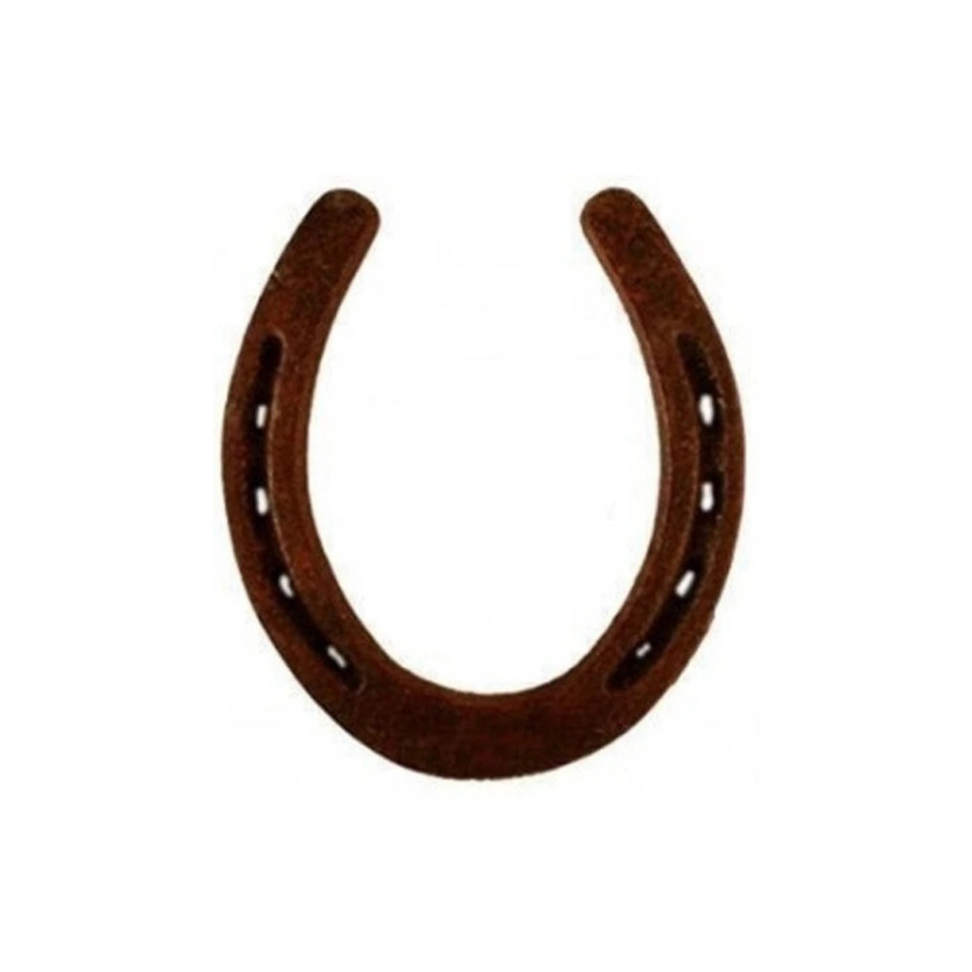 Ghode Ki Naal – Iron Horse Shoe for Vastu & Negative Energy Protection