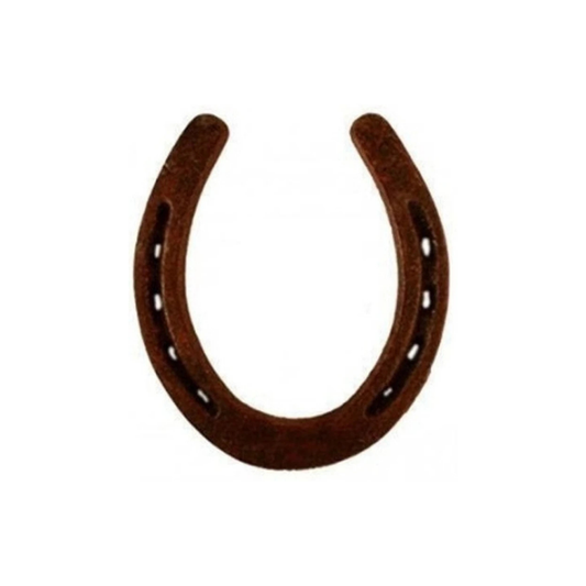 Ghode Ki Naal – Iron Horse Shoe for Vastu & Negative Energy Protection